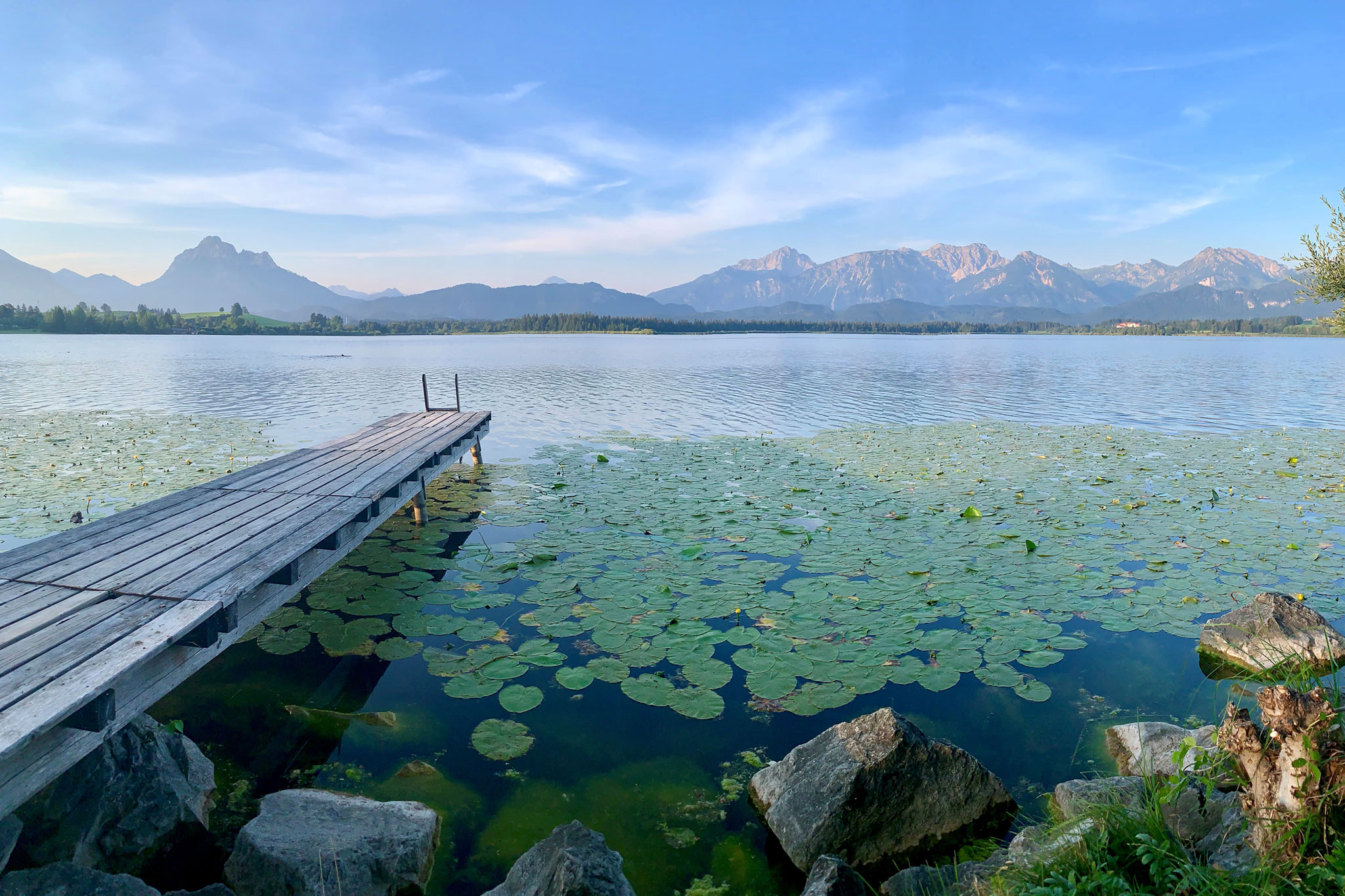 Heimatverbunden bauen - Blick vom Ufer des Hopfensees